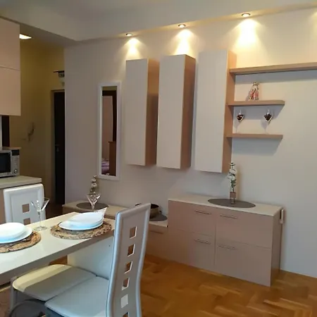 Nina Vojvode Stepe Vozdovac