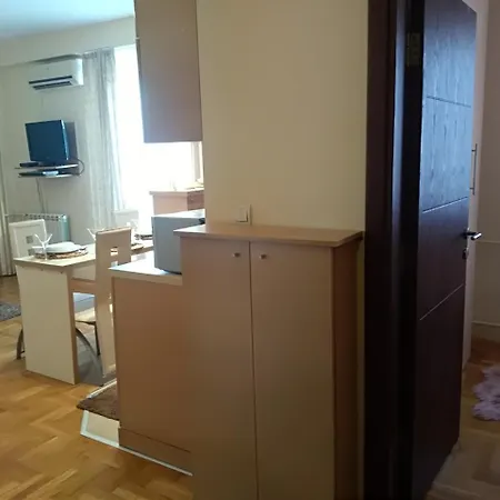 Nina Vojvode Stepe Vozdovac Apartment Vozdivac
