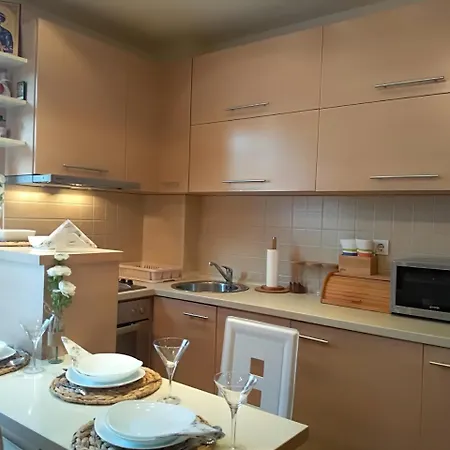 Nina Vojvode Stepe Vozdovac Vozdivac