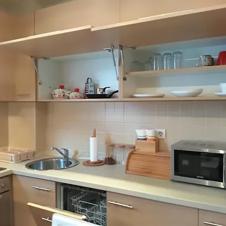 Apartment Nina Vojvode Stepe Vozdovac Vozdivac