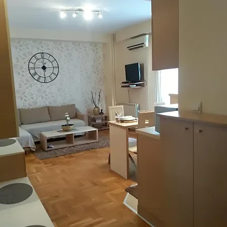 Nina Vojvode Stepe Vozdovac Apartment *