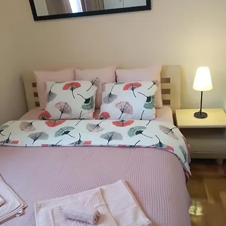 Nina Vojvode Stepe Vozdovac